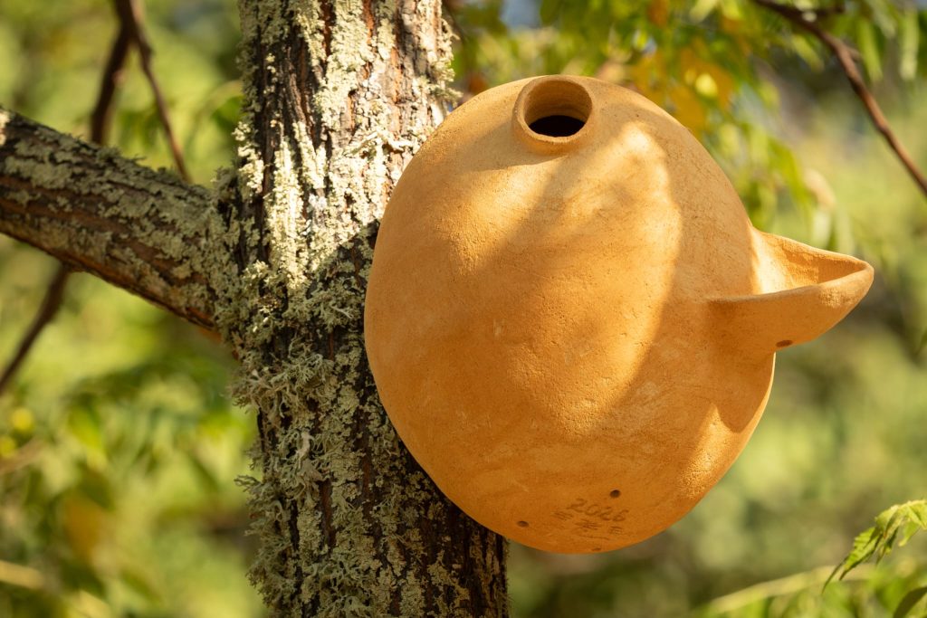 nichoir terre grand soizic seon coline arnoux